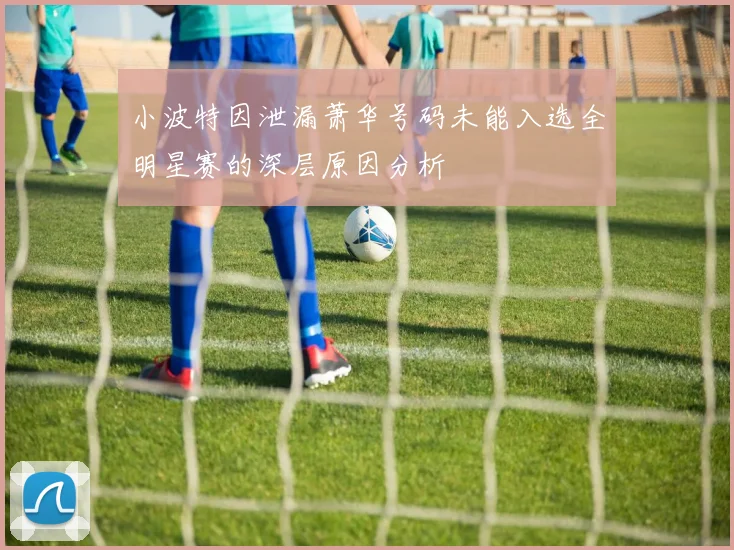 小波特因泄漏萧华号码未能入选全明星赛的深层原因分析
